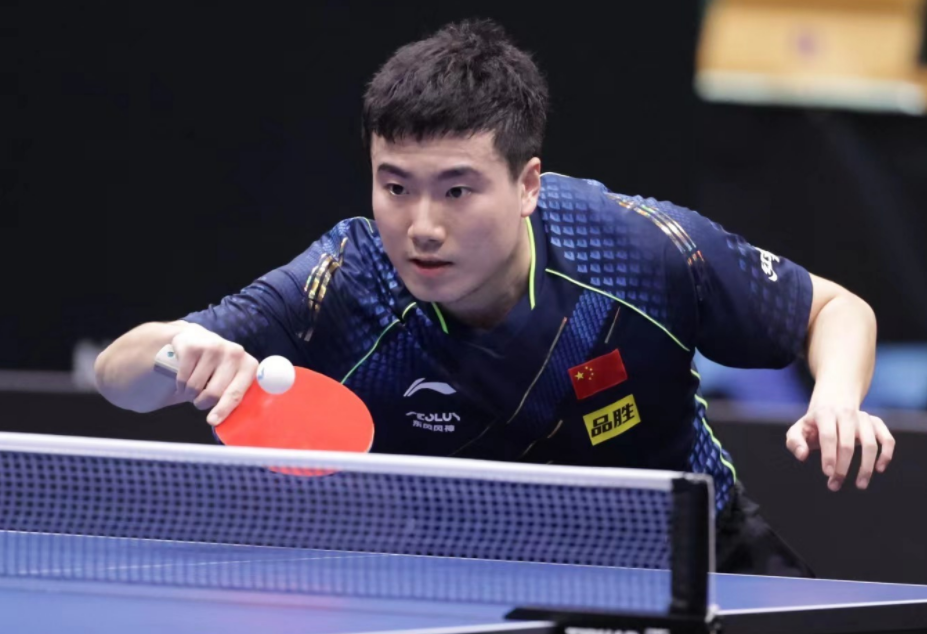 的垃圾分类 的垃圾分类