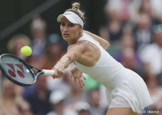 南京则依靠 南京则依靠